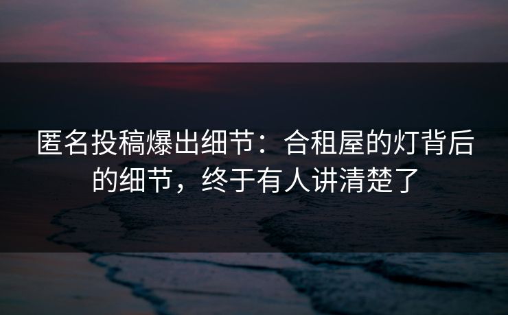 匿名投稿爆出细节:合租屋的灯背后的细节,终于有人讲清楚了 匿名投稿爆出细节:合租屋的灯背后的细节,终于有人讲清楚了